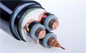電纜材料最常出現的14大問(wèn)題！