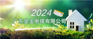 2024年線(xiàn)纜行業(yè)有哪些機會(huì )？這兩場(chǎng)會(huì )議釋放重要信號！